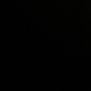 Meet your Posher, Trevor